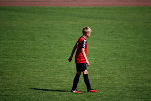 开云体育网站-NBA球员高原训练对平原比赛状态的影响，平原运动员进行高原训练原因